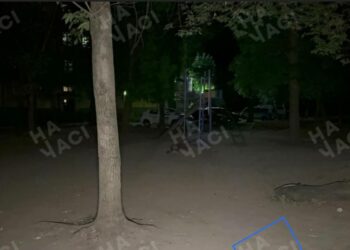 У Кривому Розі 22-річний хлопець повісився на дитячому майданчику