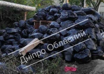 У Дніпрі на Криворізькій із шкільних ланч боксів виросла сміттярка