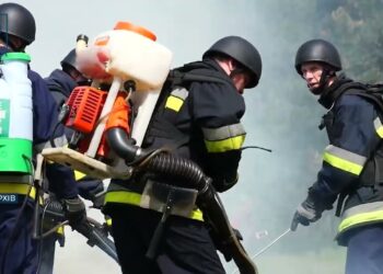 9 пожеж зафіксували у філіях Східного лісового офісу за останні 6 діб