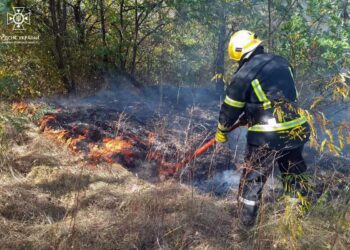 За добу на Дніпропетровщині ліквідовано 64 пожежі на відкритих територіях
