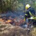 За добу на Дніпропетровщині ліквідовано 64 пожежі на відкритих територіях