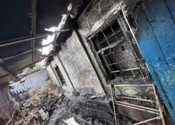Вночі у Дніпрі горів притулок для тварин «Пегас»