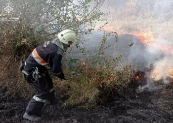 Протягом доби вогнеборці Дніпропетровщини 50 разів гасили пожежі в екосистемах