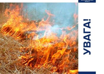Поліція нагадала, як в області карають паліїв сухостою та листя