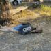 На вулиці Кривого Рогу виявили тіло чоловіка (ФОТО 18+)