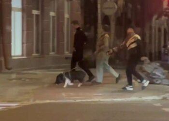 У Дніпрі був помічений чоловік, що вигулював порося на повідку