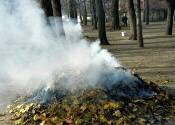 Дніпрян закликають повідомляти про підпалювачів сухого листя