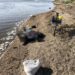 Вчора окупанти знову вбили цивільного з Нікопольського району