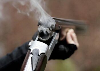 На Нікопольщині чоловіки взялися за зброю, аби вирішити конфлікт: є поранені