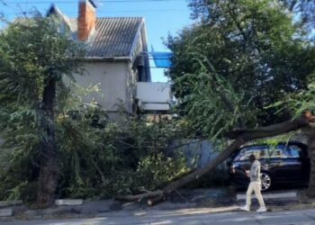 Наслідки негоди у Дніпрі та області (ФОТО.ВІДЕО)