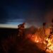 За добу вогнеборці загасили 29 пожеж в екосистемах області