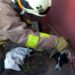 У Нікополі надзвичайники визволили песика з залізного паркану
