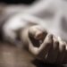 Жахливе вбивство у Синельниківському районі: підліток забив до смерті та зґвалтував пенсіонерку