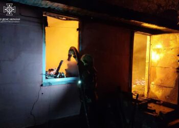 На Криворіжжі з палаючого будинку врятували двох дітей та їхню маму