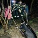 На Криворіжжі рятувальники  дістали корову з глибокої ями