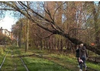 Заблоковано рух трамваїв через наслідки негоди