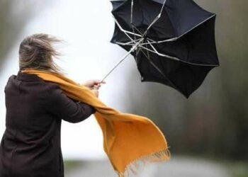 На Дніпропетровщині очікується поривчастий вітер