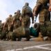 Скасування відстрочки для здобуття 2-ї чи 3-ї освіти та скасування терміну “обмежена придатність”: подробиці нового законопроекту
