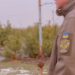 Лісівники області попереджають про покарання за незаконний зруб ялинок