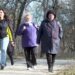 Півторарічна боротьба з міською радою за майже 6 га лісопарку “Дружби народів”