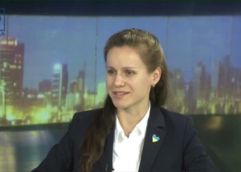 Проєкт урбаністки та архітекторки “Збережемо Зелену Вишиванку Міста”