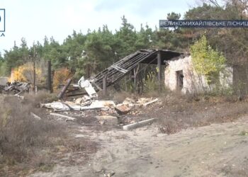 Прифронтове лісництво – як працюють лісничі під обстрілами та з ризиком для життя