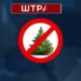 У філіях Східного лісового офісу патрулюватимуть у посиленому режимі новорічні плантації