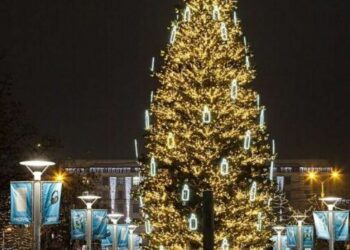Стало відомо, де у Дніпрі з’являться новорічні ялинки