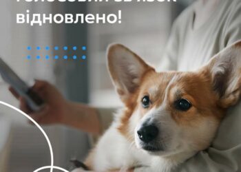 Офіційно від “Київстар”: розпочалося включення голосового зв’язку по всій Україні