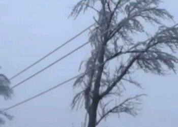 Наразі без світла залишаються близько 6 тисяч родин у 41 населеному пункті області