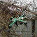 На Дніпропетровщині вибухотехніки знешкодили три ворожих дрони, один з яких атакував слідчо-оперативну групу поліції