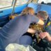 На Ломівському каналі врятували чоловіка, який провалився під кригу