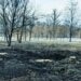 Загинула мати двох дітей: стало відомо, ким була жінка, яку вбила ворожа ракета у Павлограді