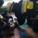 На пожежі у Дніпрі врятували котика