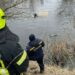 Під Дніпром з річки Оріль виловили легковик ВАЗ