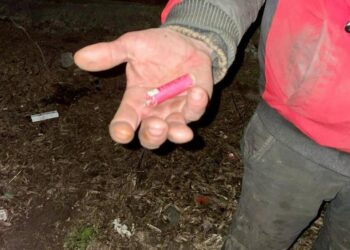 У Дніпрі розшукали 40-річного хулігана, який кинув петарду на дитячий майданчик