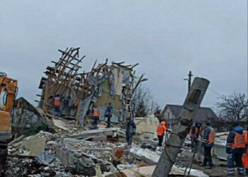 Під час ракетної атаки було зруйновано будинок зооволонтерки під Дніпром: загинули тварини