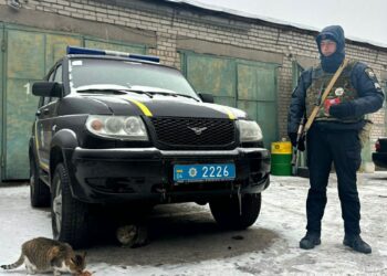 Хвилинка добра: у Нікополі правоохоронці прихистили бездомних котиків