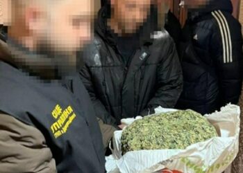 У Кривому Розі судитимуть двох братів з угруповання «Двадцятівських», які обкрадали людей та продавали наркотики