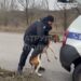Собака біг за авто поліції: у Новомосковському патрульні врятували песика (ВІДЕО)