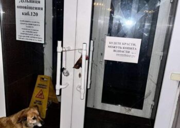 Операція “антикорупція”: у Кривому Розі невідомі “прикрасили” свинячими ратицями усі райвиконкоми міста