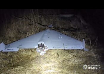 На Дніпропетровщині знайшли цілим «шахед», який збила ППО (ВІДЕО)