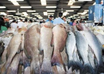 На Дніпропетровщині зняли заборону на продаж риби та морепродуктів