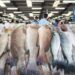 На Дніпропетровщині зняли заборону на продаж риби та морепродуктів