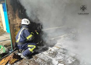 47 врятованих дорослих, 7 дітей, троє загиблих: наслідки пожеж в області за тиждень