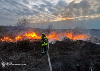 За добу в області сталося 58  пожеж в екосистемах