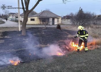 Вигоріло близько 50 гектарів: в області за добу сталося 60 пожеж в екосистемах