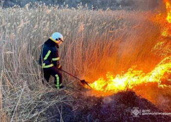Знову більше 50 пожеж: знищено  понад 48 гектарів екосистем