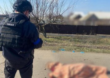 Під ворожий вогонь на Нікопольщині потрапили двоє братів: у поліції повідомили деталі ранкової трагедії