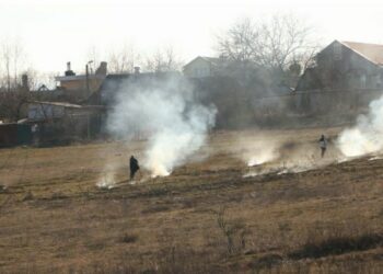 Підпал сухостою у воєнний час прирівнюється до диверсії: як карають паліїв у Дніпрі
